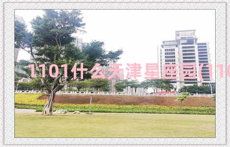 1101什么天津星座园(1101属什么)