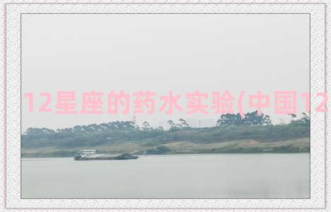 12星座的药水实验(中国12星座实沈)