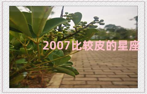 2007比较皮的星座