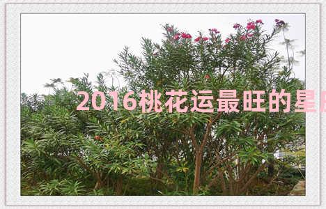 2016桃花运最旺的星座