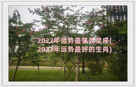 2022年运势最强劲星座(2022年运势最好的生肖)