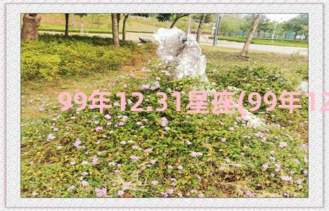 99年12.31星座(99年12.31星座)