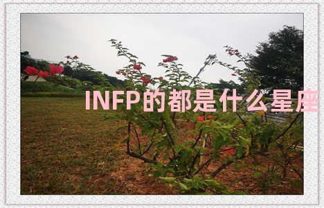 INFP的都是什么星座