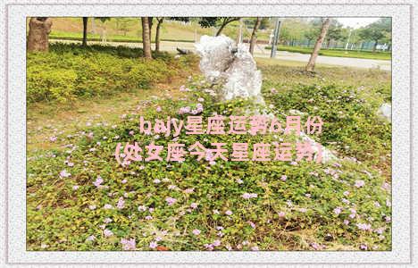 bajy星座运势6月份(处女座今天星座运势)