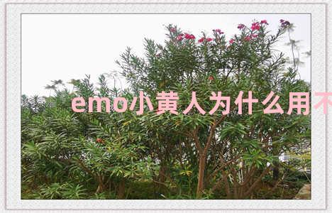 emo小黄人为什么用不了