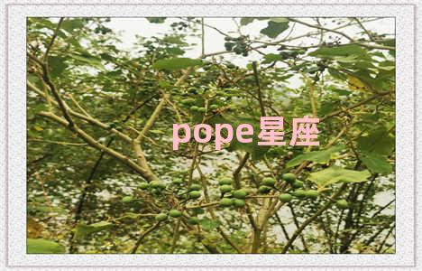 pope星座