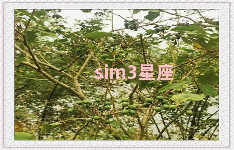 sim3星座