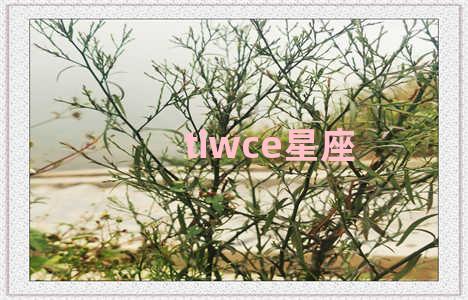 tiwce星座