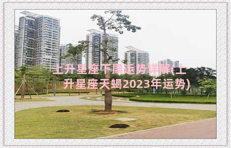 上升星座下周运势详解(上升星座天蝎2023年运势)