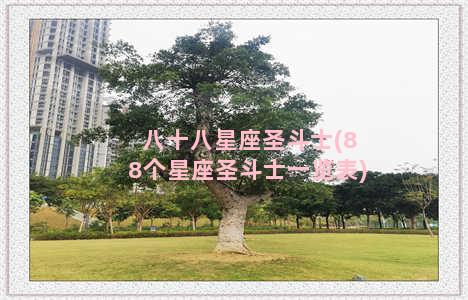 八十八星座圣斗士(88个星座圣斗士一览表)