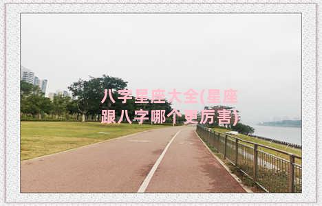 八字星座大全(星座跟八字哪个更厉害)