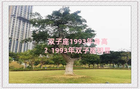 双子座1993年身高？1993年双子座明星