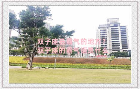 双子座最霸气的地方？双子座的霸气语是什么