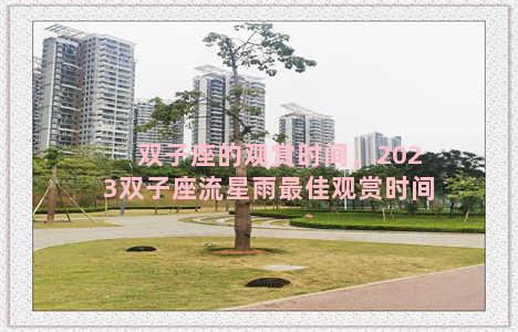 双子座的观赏时间，2023双子座流星雨最佳观赏时间