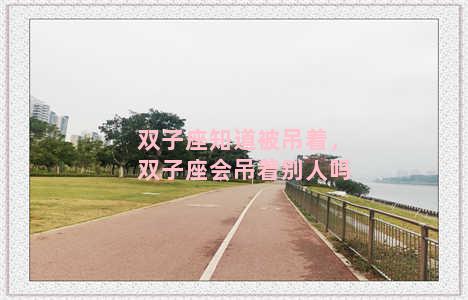 双子座知道被吊着，双子座会吊着别人吗