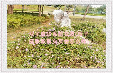 双子座联系前女友(双子座联系前女友会怎么样)