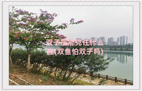 双子座能克住什么座(双鱼怕双子吗)