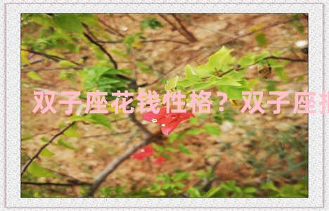 双子座花钱性格？双子座抠门吗