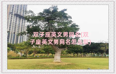 双子座英文男网名(双子座英文男网名怎么取)