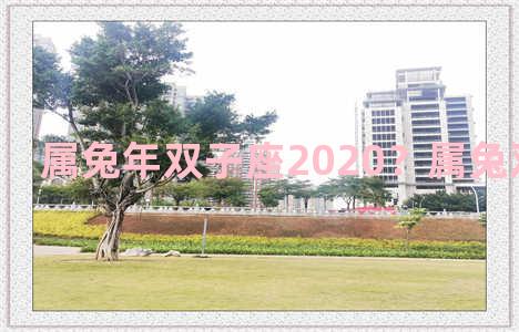 属兔年双子座2020？属兔双子座2021