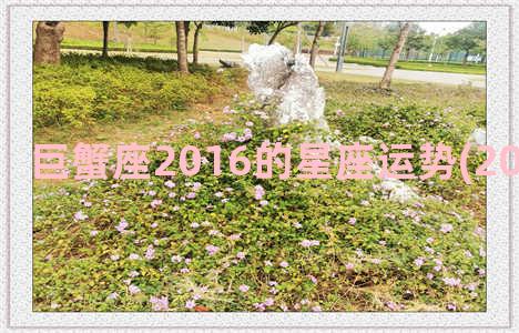 巨蟹座2016的星座运势(2016年巨蟹座)