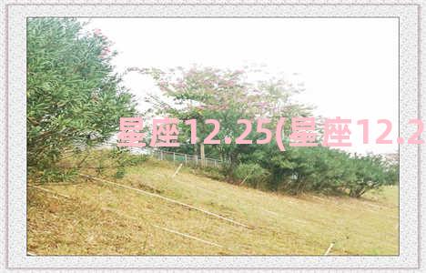 星座12.25(星座12.22)