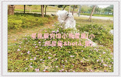 星座研究馆小熊星座(小熊星座β星)