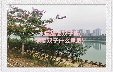 水晶战士双子座(水晶双子什么意思)