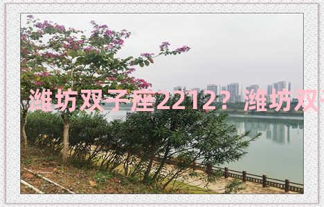 潍坊双子座2212？潍坊双子座小区