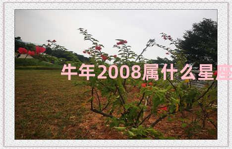 牛年2008属什么星座