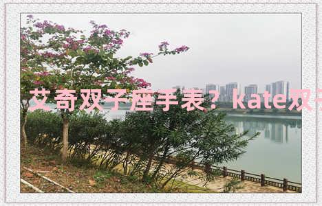 艾奇双子座手表？kate双子座手表