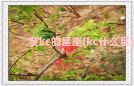 贤kc的星座(kc什么星座)