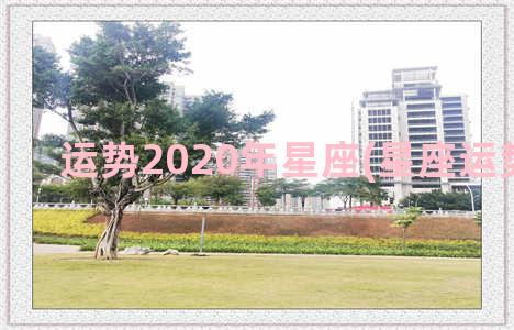 运势2020年星座(星座运势2020年)