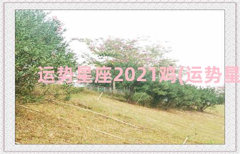 运势星座2021鸡(运势星座屋)