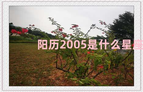 阳历2005是什么星座